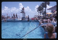Swimming Pool Man Diving Board People Palm Trees 35mm Slide 1960s Kodachrome