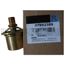 NEW Ingersoll Rand 37952389 Thermostatic Valve Kit