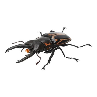 Bandai Gashapon Stag Beetle 07 Action Figure Prosopocoilus Zebra 9.5cm Japan