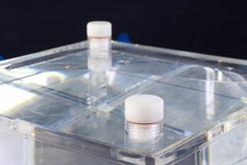 TOSHIBA EXCELART VANTAGE MRI PHANTOM 