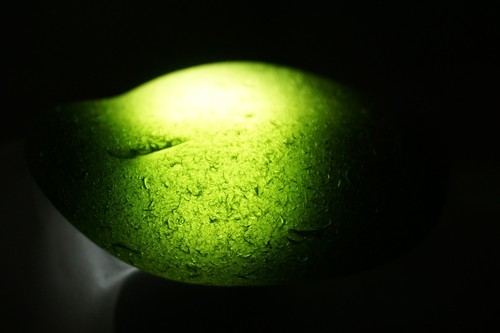 Black Sea Glass - 37g RAREST OLDEST Pirate 1700s Sydney Cove, Australia #vvv10