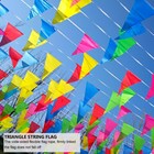 Imagen 11 de 12