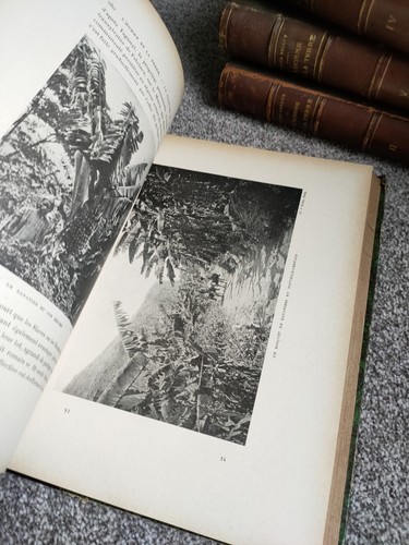 Elisee Reclus man and the earth Engravings etc 4 Vols circa early 1900's - Picture 7 of 8