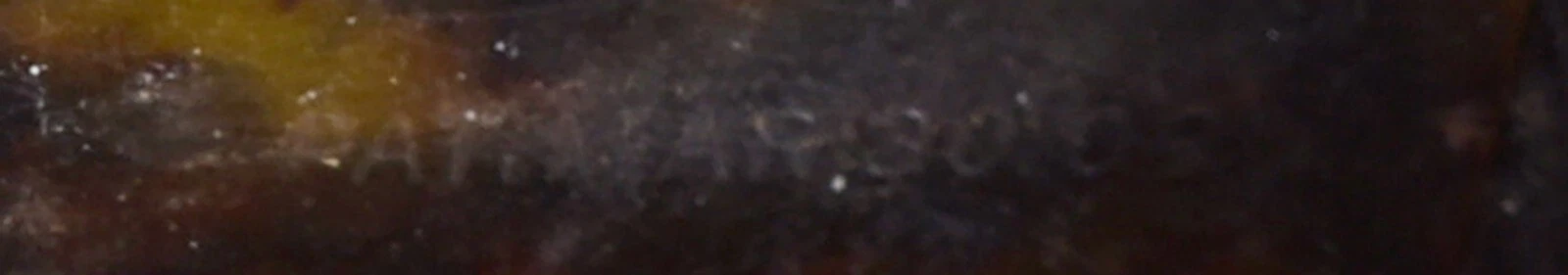 Picture 18 of 20