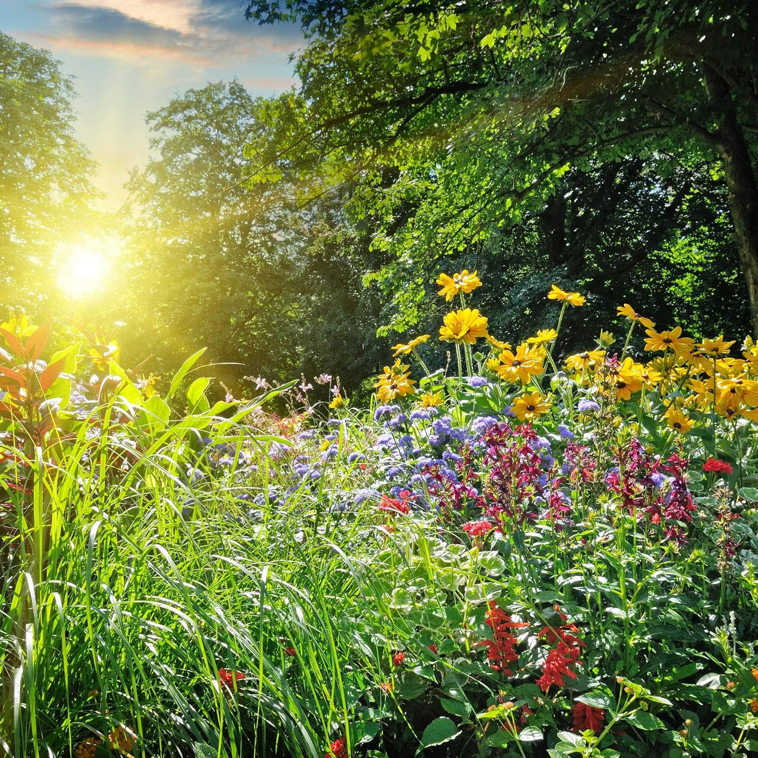 Wildflower Seeds Bulk – Perennial National Wildflower Mix, Save the Monarchs Col