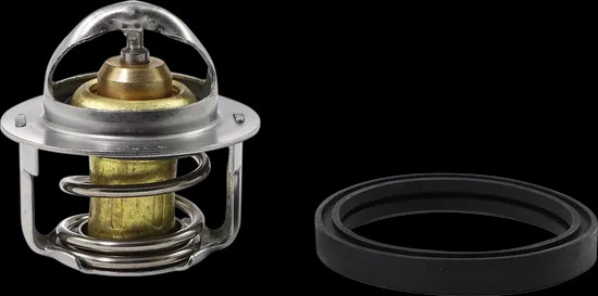 All Balls Replacement Thermostat for Polaris Ranger 500 4x4 19 | eBay
