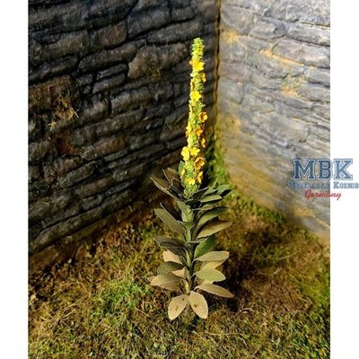 Model Scene MSC-VG3-023 Königskerze / Mullein (1:35)