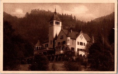 Vintage Berchtesgaden Villa Alpenruhe Sepia Postcard by Eugen Richter