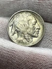 1913 Type 2  BU UNC Full Horn High Grade Buffalo Nickel - Better Date US Coin!