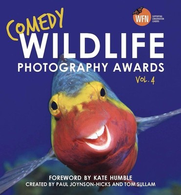 Comedy Wildlife Photography Awards Vol. 4: The hilarious Christmas gift by Paul