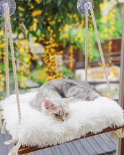 Cat Hammock with Industrial-Grade Suction Cups - Solid Pine Wood Seat Soft