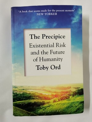 The Precipice:  A book that seems made for the present moment  New Yorker