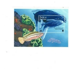 Turks and Caicos - 2002 - Whales - Souvenir Sheet - MNH