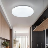 Wohnzimmerlampe Deckenlampe Deckenleuchte Tageslichtlampe Eisen Weiß Led L 28Cm