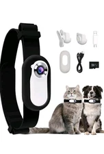 1080P Cat Camera Collar  Video Port Record Wireless Mini Sport Cam 8 GB Card New