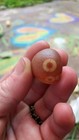 Bild 3 von 10