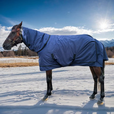 Turnout Horse Blanket with Hood  Medium Weight Winter Horse Blanket  1200D Wat