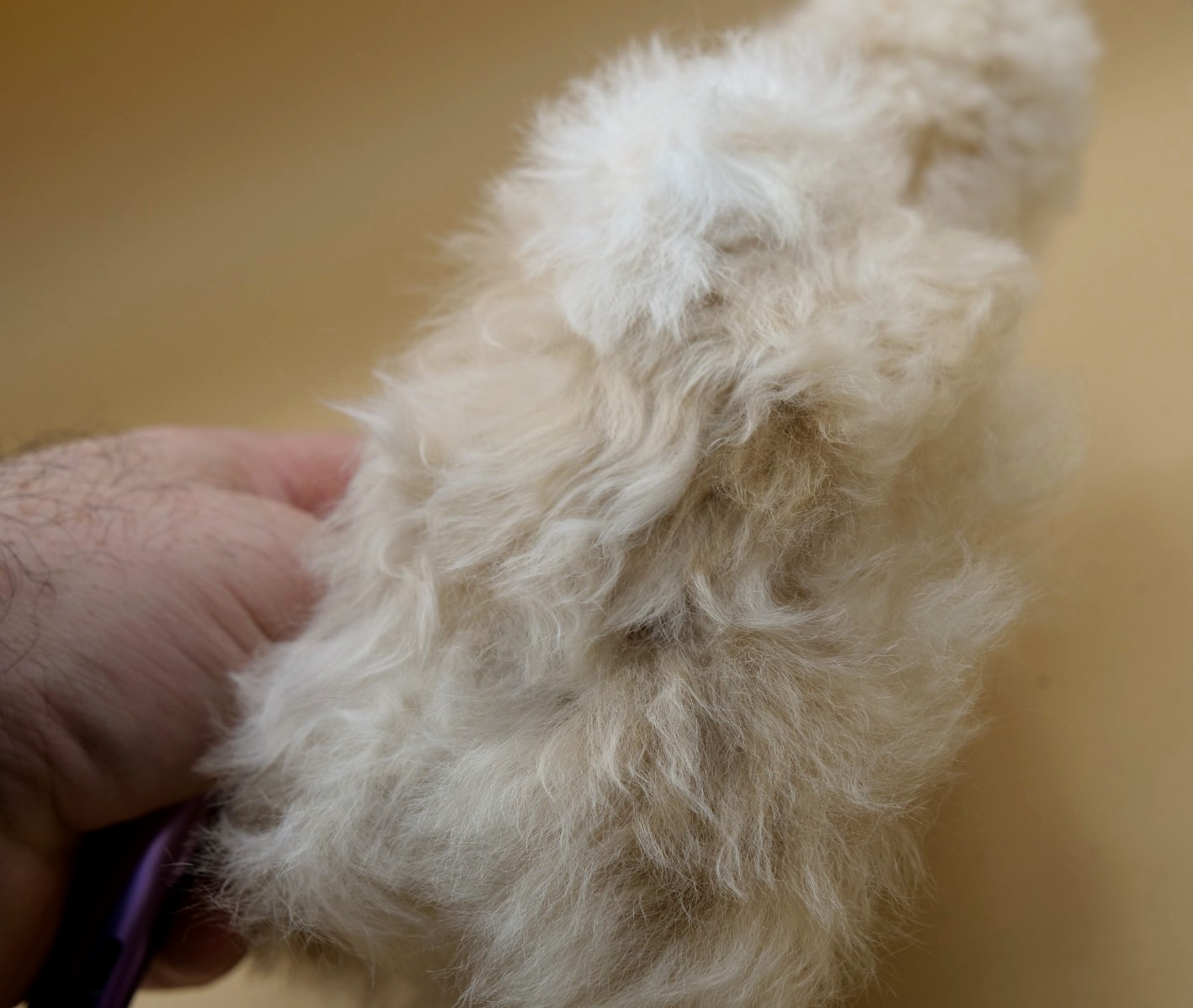 REAL Alpaca White Plush Llama with Natural Fur 9"