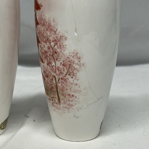 Coppia di vasi NORITAKE Bone China NIPPON Toki KAISHA dipinti a mano - Foto 6 di 10