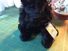 webkinz black poodle new with unused code tag