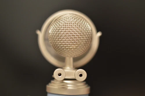 Blue Microphones Bluebird Microphone - Thumbnail 5