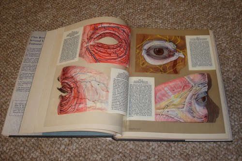 The Human Eye in Anatomical Transparencies. 1944 Bausch & Lomb Hardcover - Foto 4 di 4