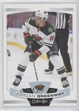 2019-20 O-Pee-Chee Jordan Greenway #253 4gx