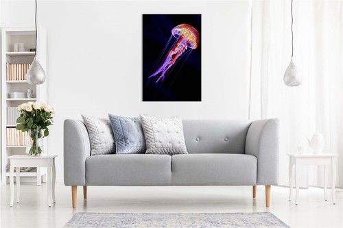 Colorful Glowing Jellyfish underwater Framed Canvas Print Wall Art Home Decor - Picture 2 of 6