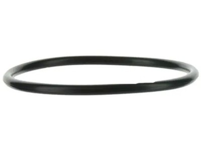 Genuine Honda O Ring (48 5X2 95) 91301-RAY-004