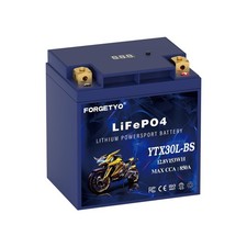 Lithium YTX30L-BS, 850A LiFePO4 Motorcycle Battery, 12V 12AH ATV, UTV, Tractor