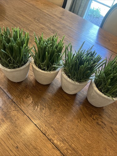 Lot Of 4 Pier 1 Faux Potted Grass Plants