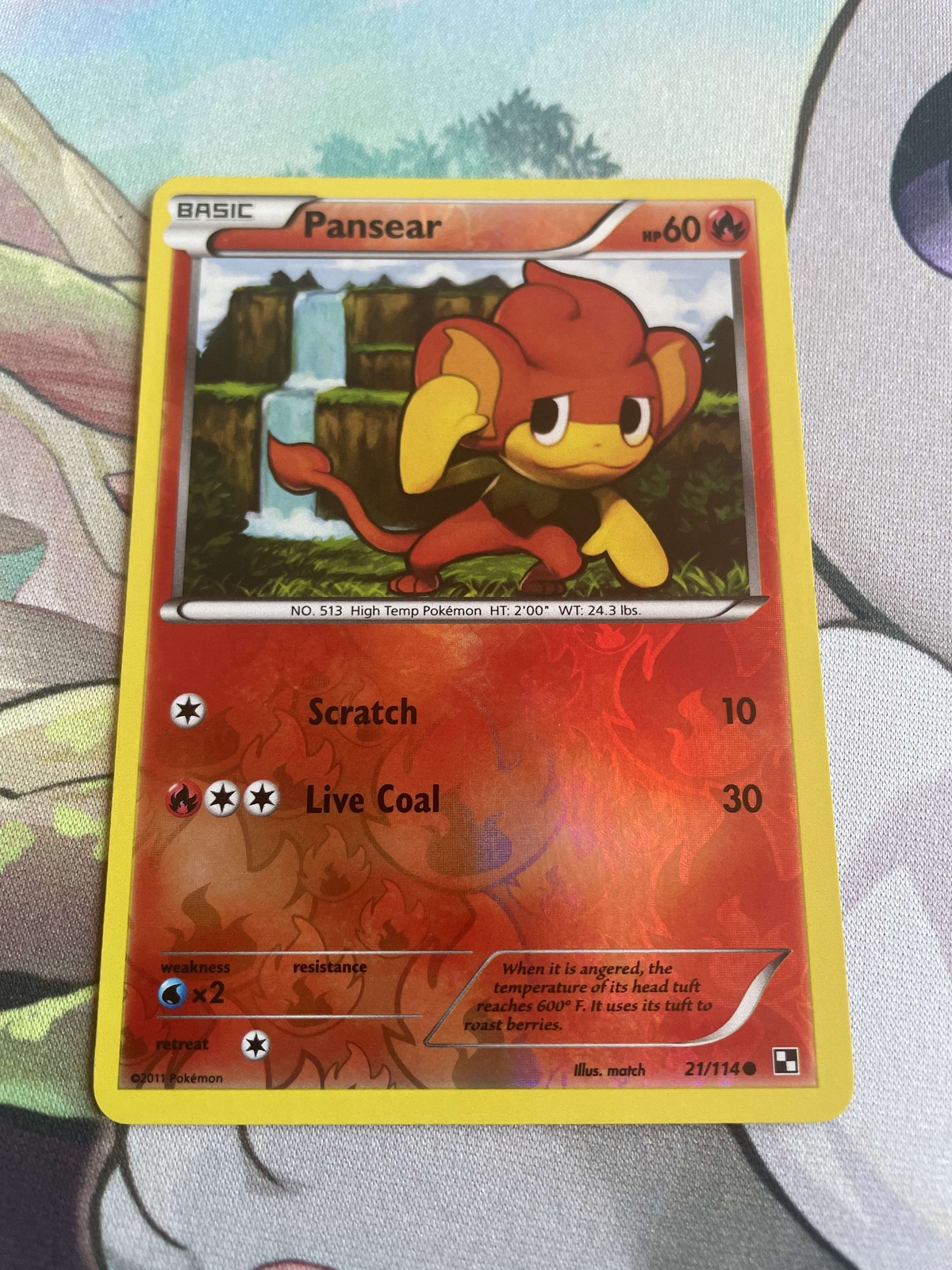 Pansear 21/114 Black & White Reverse Holo Common Pokemon Card LP