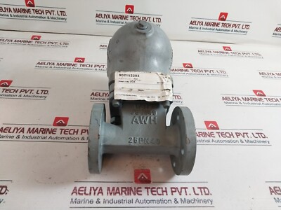 ARI EMJS1049 Dampf Falle DN25 Ps Stange 14