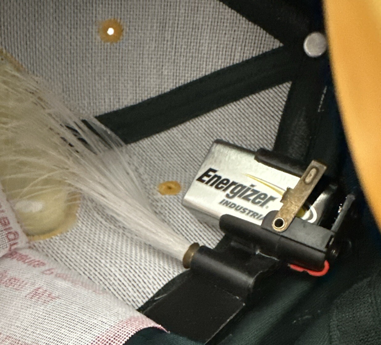 Picture 5 of 5