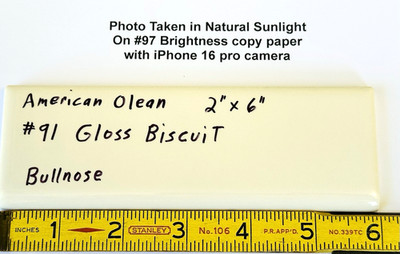 1 pc. Gloss Biscuit #91 by American Olean 2'' X 6'' Surface Bullnose Ceramic Tile