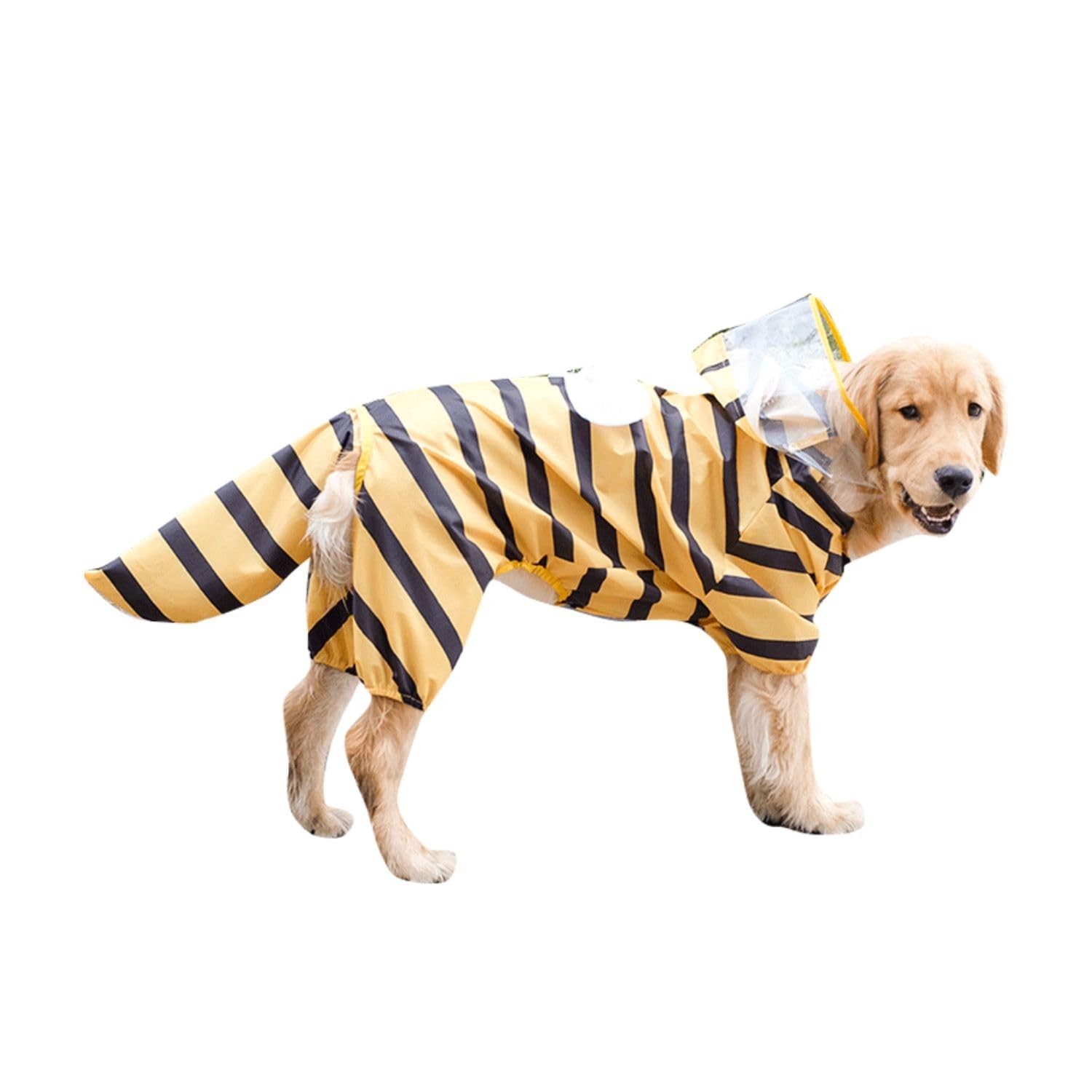 Manteau de pluie pour chien contre les poils mouillés et les odeurs à la maison