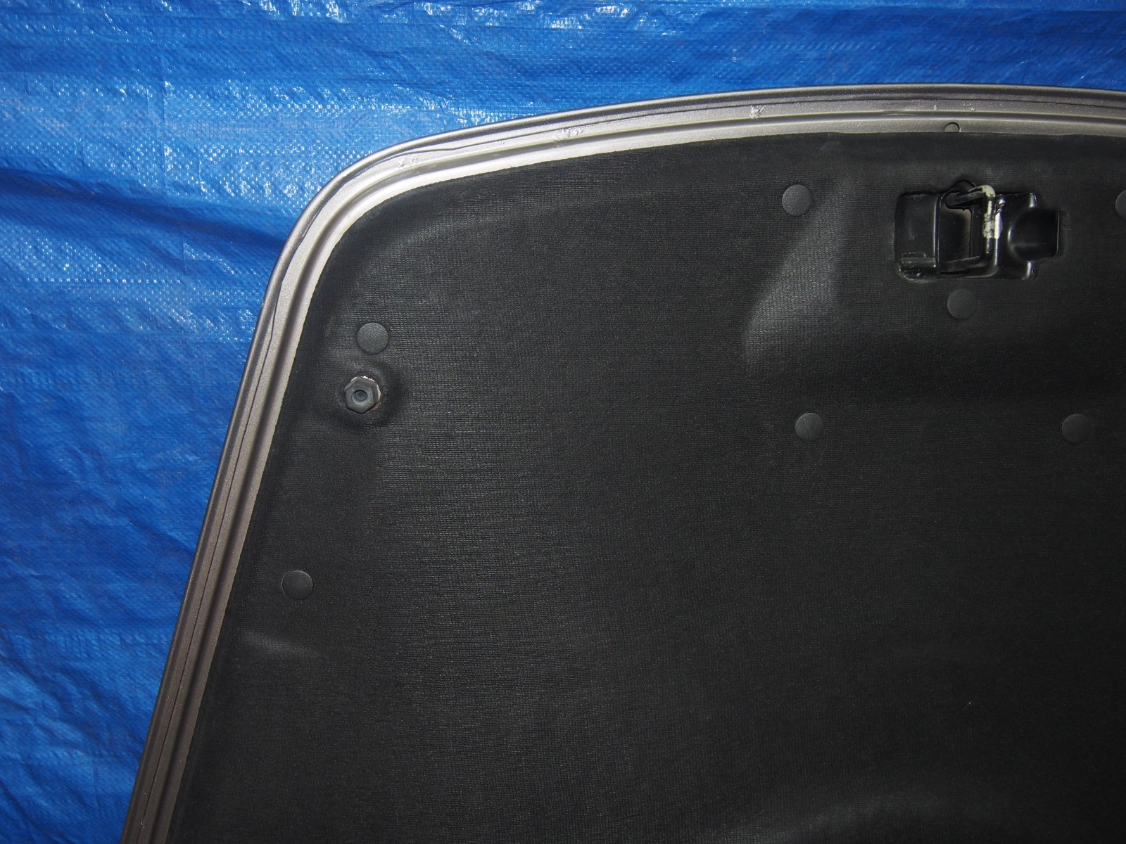 Maserati Quattroporte 2005-2008 Hood Beige