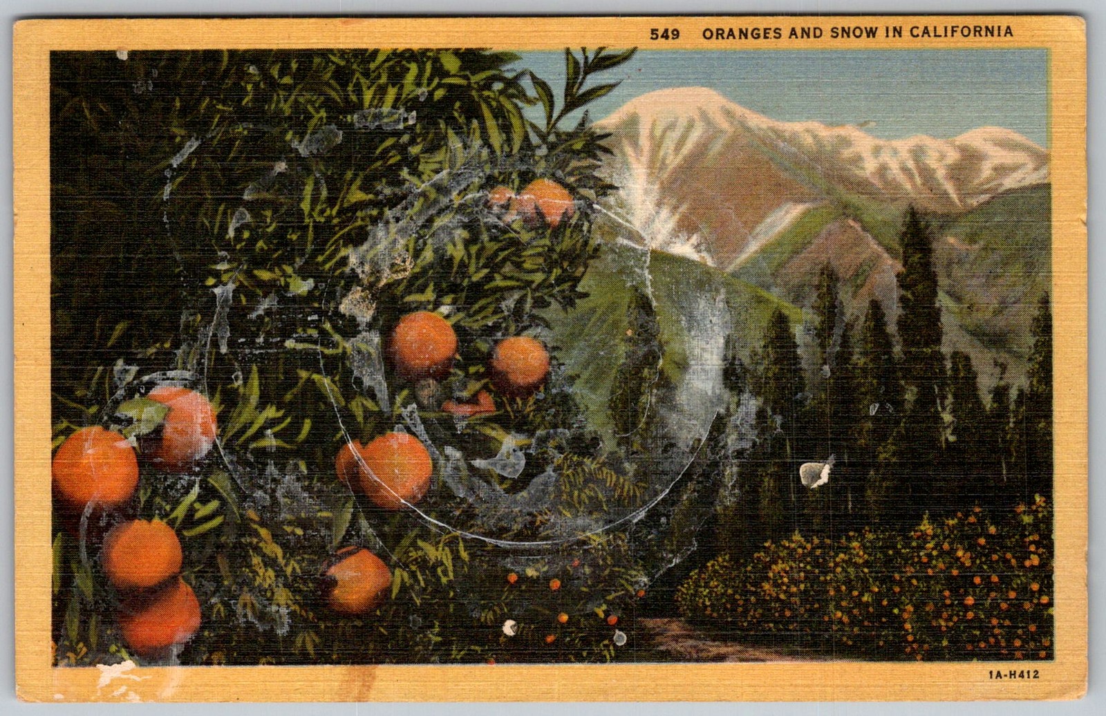 Vtg Linen Postcard Oranges and Snow California, US 1930s