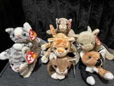 Ty Cat Beanie Baby Lot Of 7 Canyon, Scat, Prance, Pounce, Silver, Scat, Amber