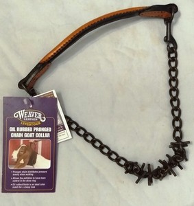 pronged goat collar