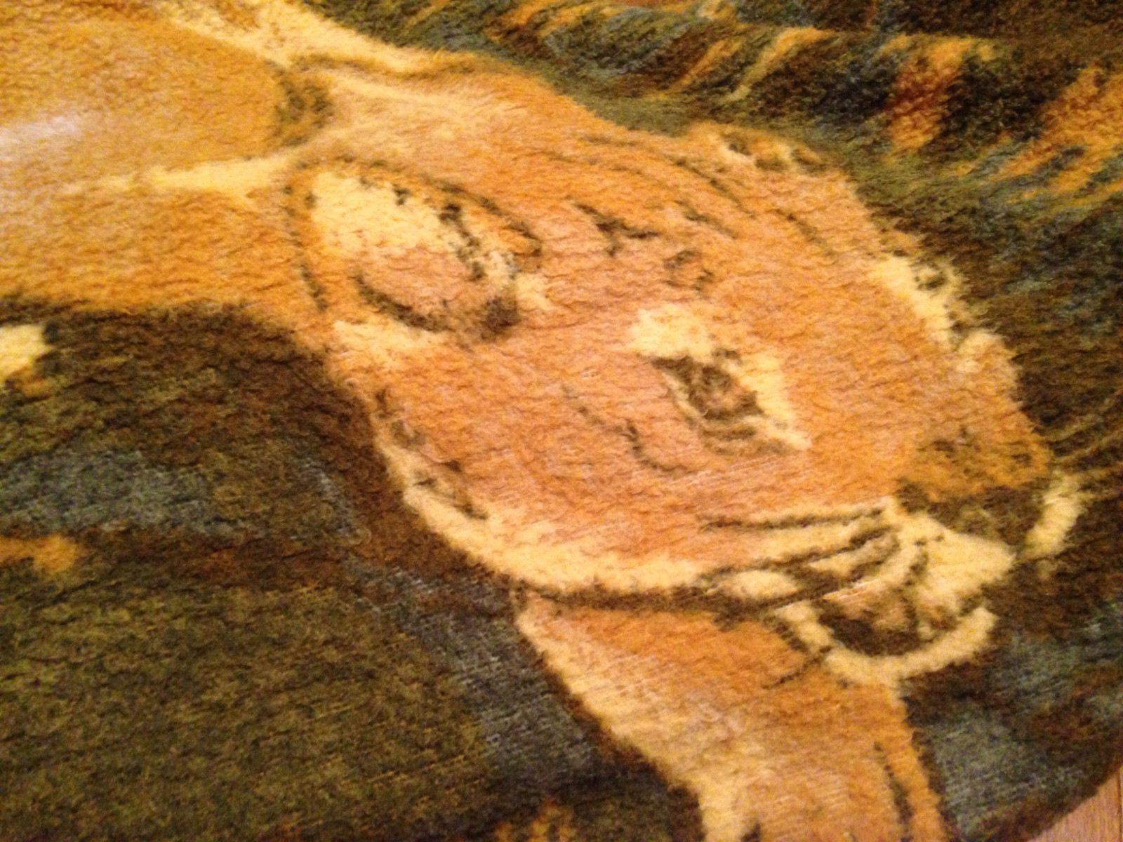 Picture 9 of 12
