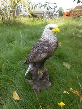 DEKOFIGUR, WEISSKOPFADLER, ADLER, VOGEL,  GREIFVOGEL  VÖGEL 3056