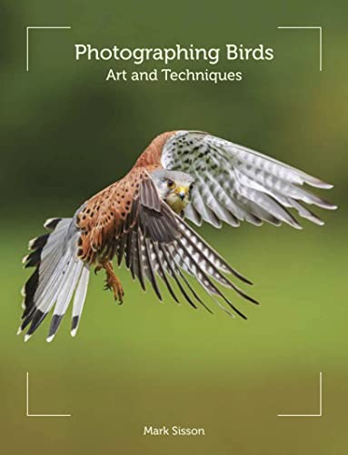 Photographing Birds,Mark Sisson