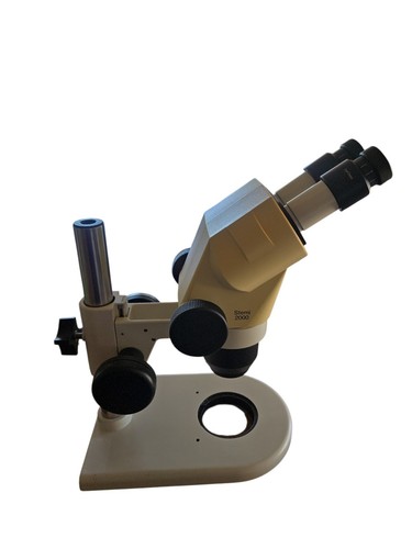 Zeiss Stemi 2000 Stereo Microscope
