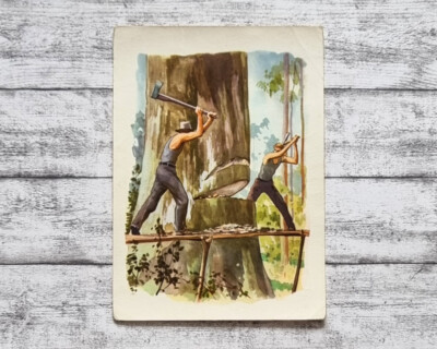 Holzfäller Karribaum Sanella Bild 35 Sammelwerk Australien Vintage Werbung Deko