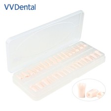 32pc/set Dental Resin Teeth Dental Teeth Model For Dental Technician Practice