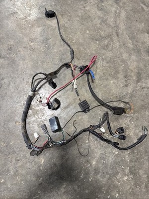 yamaha raptor 50 Wiring Harness 2005 #2