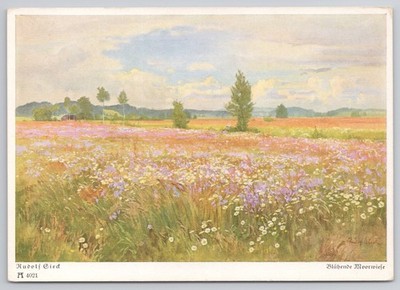 Rudolf Sieck Blooming Moor Meadow Landscape Art Postcard