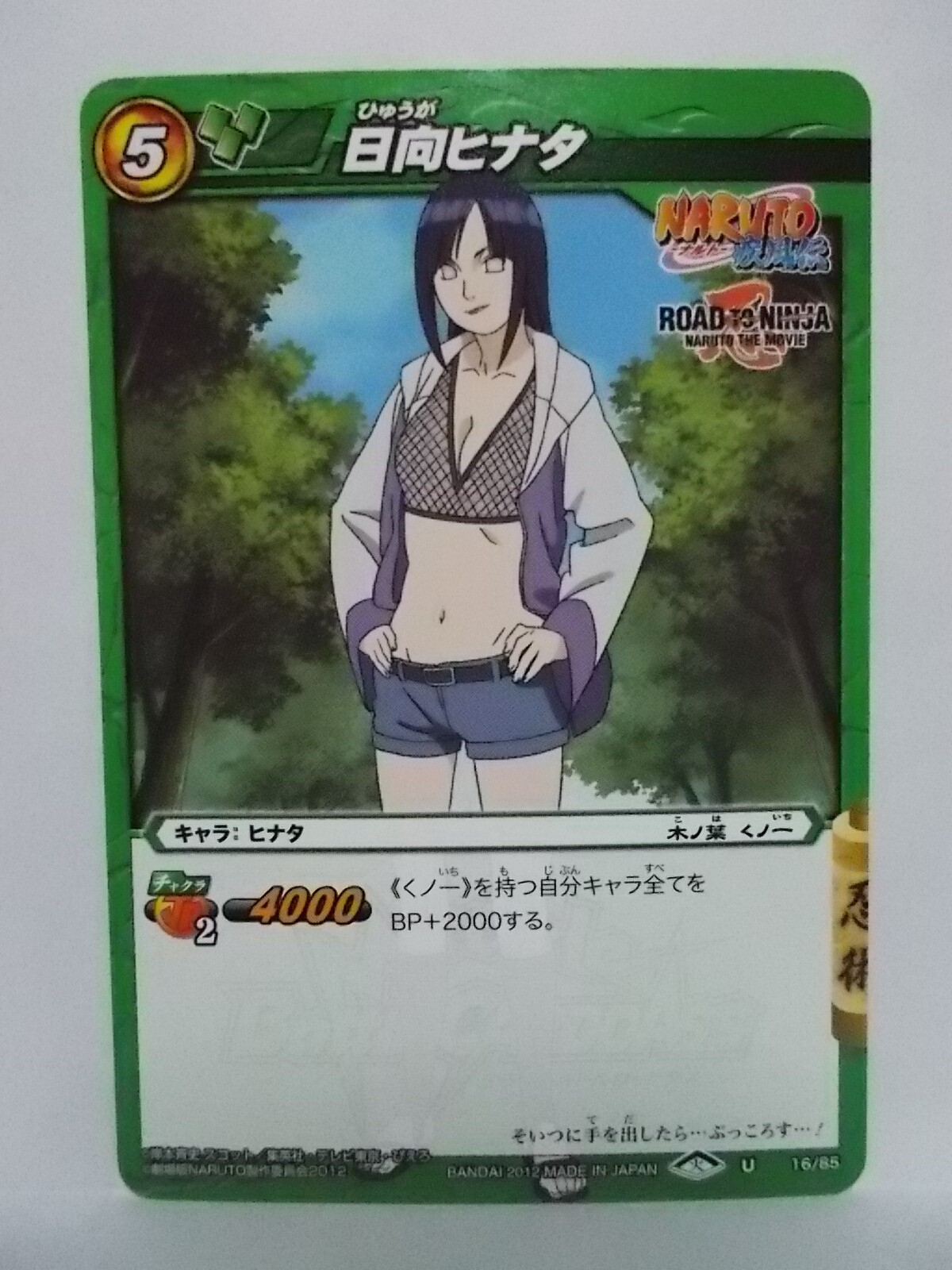 Foto 7 di 17