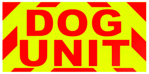 2 x LARGE HIVIZ & REFLECTIVE DOG UNIT MAGNETS SIZE VARIATIONS dum9 2 x LARGE HIVIZ & REFLECTIVE DOG UNIT MAGNETS SIZE VARIATIONS dum9